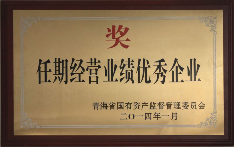 任期經(jīng)營(yíng)業(yè)績(jì)優(yōu)秀企業(yè)